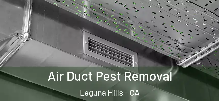 Air Duct Pest Removal Laguna Hills - CA