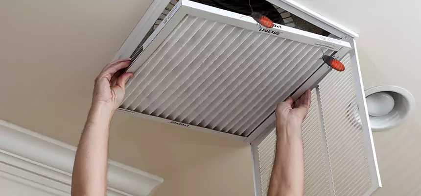 Our Insect Removal from Air Ducts Services in Laguna Hills, CA