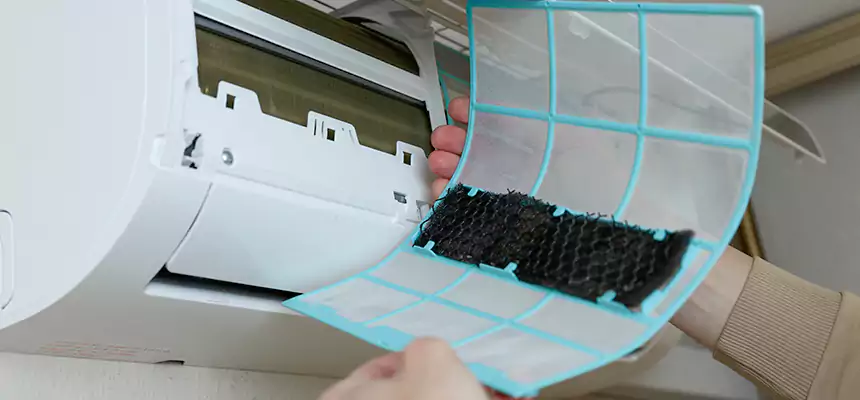 Gentle Ductwork Odor-Control Pet Dander Duct Cleaning in Laguna Hills, CA