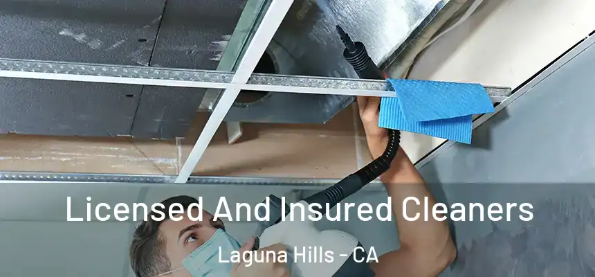 Licensed And Insured Cleaners Laguna Hills - CA