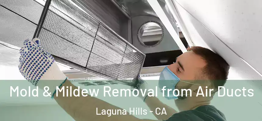  Mold & Mildew Removal from Air Ducts Laguna Hills - CA