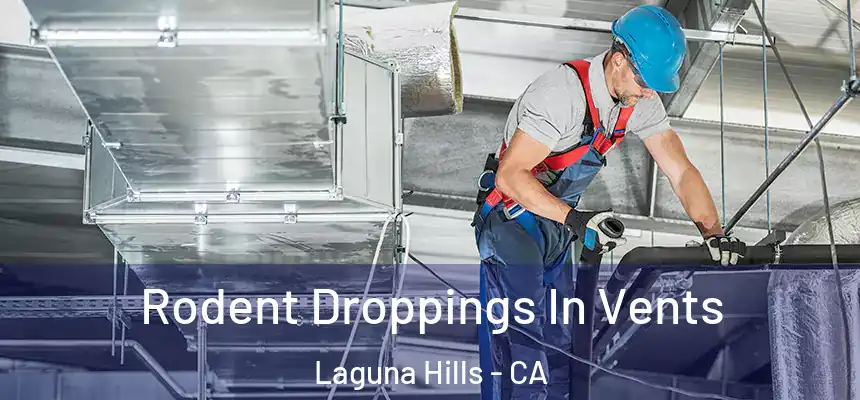  Rodent Droppings In Vents Laguna Hills - CA