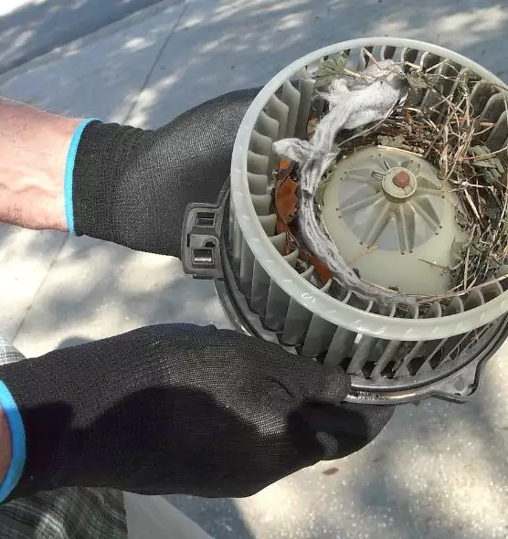 About Air Duct Rat Removal in Laguna Hills, CA