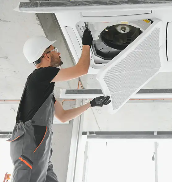 About Air Duct Rodent Removal in Laguna Hills, CA