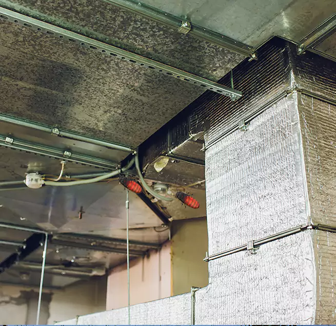 Why Homeowners & Businesses Trust Us in Laguna Hills, CA?