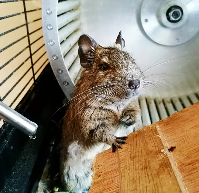 Why Homeowners & Businesses Trust Us Laguna Hills, CA