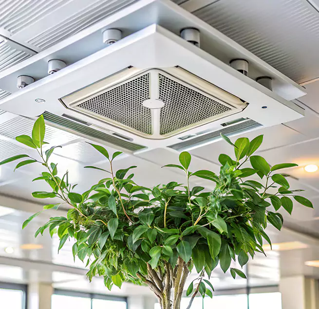 Why Homeowners & Businesses Trust Us in Laguna Hills, CA?